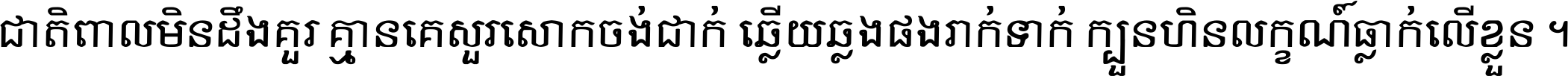 ជាតិ​ពាល​មិន​ដឹង​គួរ គ្មាន​គេ​សួរ​សោក​ចង់​ជាក់ ឆ្លើយ​ឆ្លង​ផង​រាក់​ទាក់​ ក្បួន​ហិន​លក្ខណ៍​ធ្លាក់​លើ​ខ្លួន ។