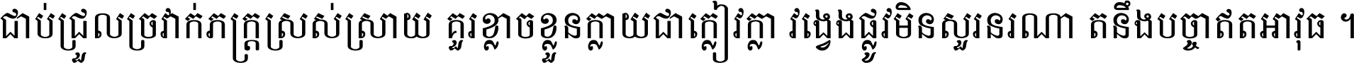 ជាប់​ជ្រួល​ច្រវាក់​ភក្ត្រ​ស្រស់ស្រាយ គួរ​ខ្លាច​ខ្លួន​ក្លាយ​ជា​ក្លៀវក្លា វង្វេង​ផ្លូវ​មិន​សួរន​រណា តនឹងបច្ចា​ឥត​អាវុធ ។